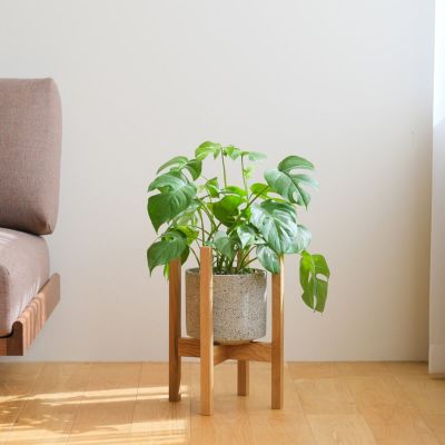 FAVORMADE | Planter Stand M / プランター・フラワースタンド Mサイズ