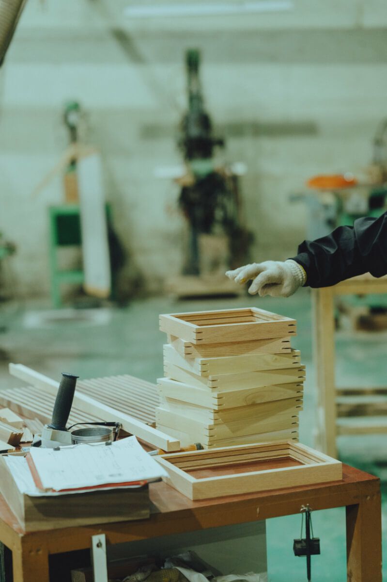 vokko×DENTO | アンティーク植物標本 (スウェーデン)No.11 フレーム込