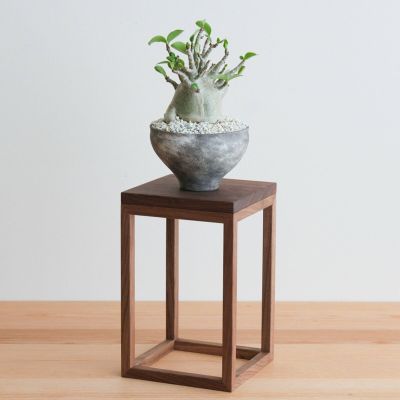 FAVORMADE | Planter Stand L / 三方留プランター・フラワースタンド Lサイズ