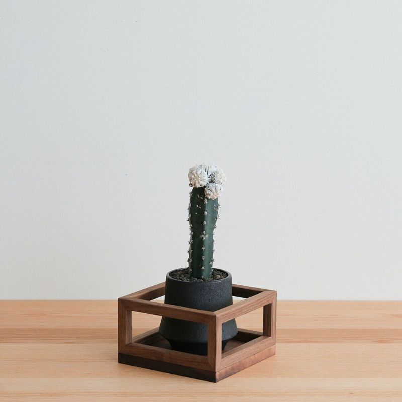 FAVORMADE | Planter Stand S / 三方留プランター・フラワースタンド Sサイズ